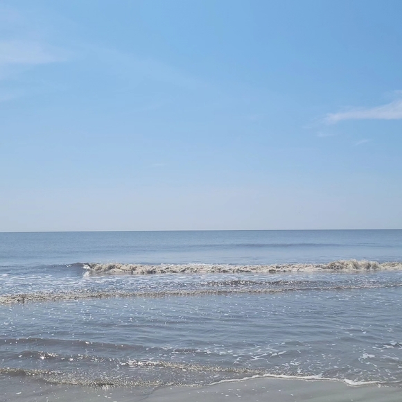 Meet your Posher, Sheri - Picture 3 of 3